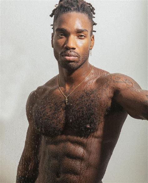 black hairy men|His Hairy Chest .